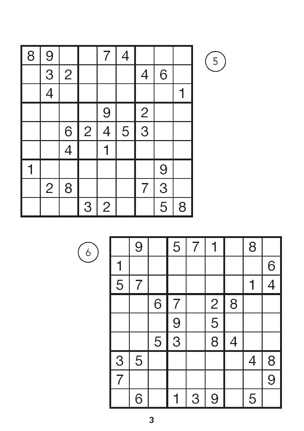 Der große Sudoku Block Band 2: 380 Sudoku-Rätsel für Erwachsene in 3 Schwierigkeitsstufen