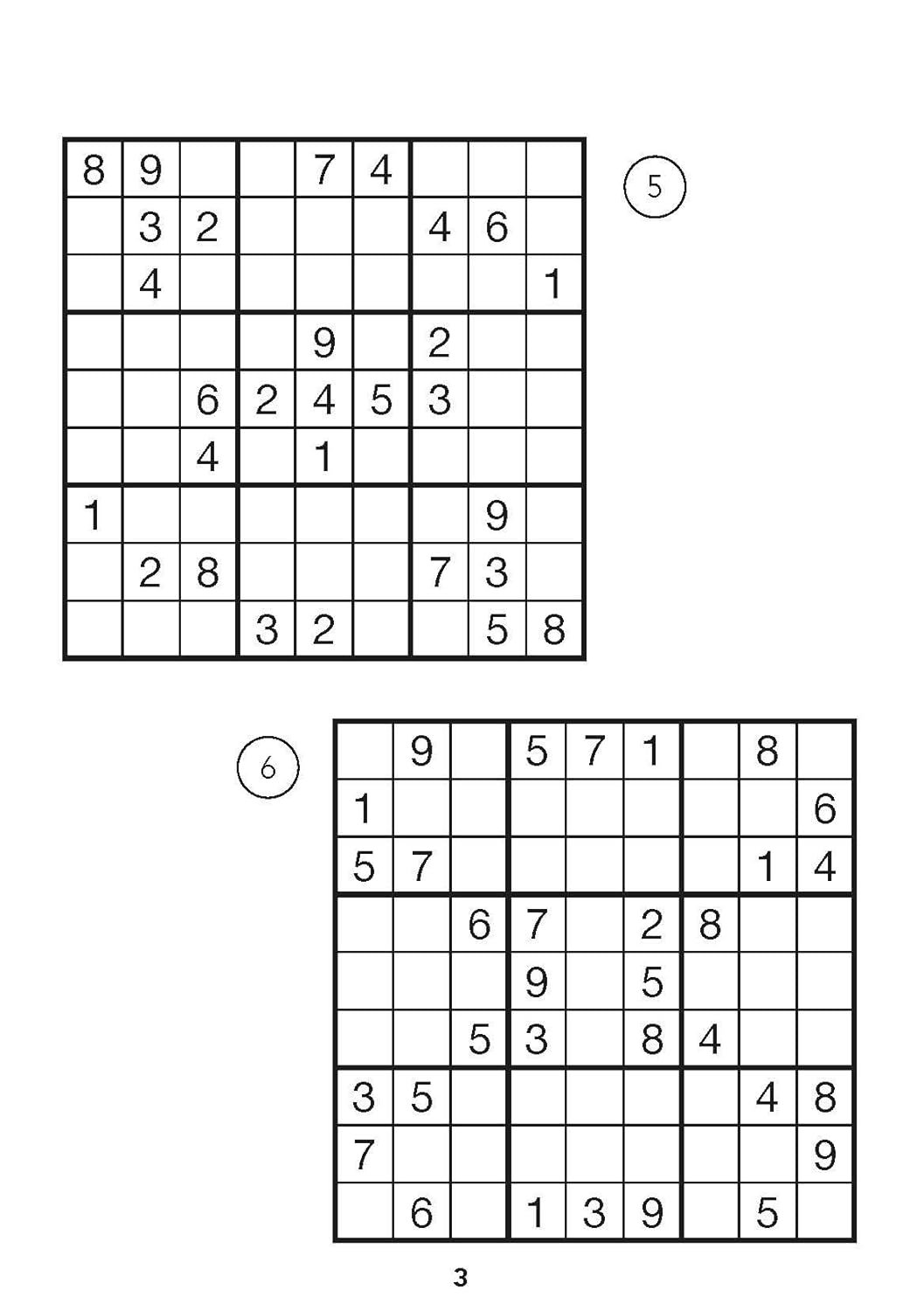 Der große Sudoku Block Band 3: 380 Sudoku-Rätsel für Erwachsene in 3 Schwierigkeitsstufen